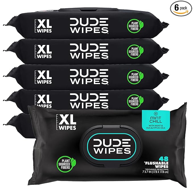 DUDE Wipes Mint Chill Flushable Wipes - Extra-Large Adult Wet Wipes - 6 Pack (288 Count) - Infused with Tea Tree Oil, Vitamin E, and Aloe - Septic and Sewer Safe