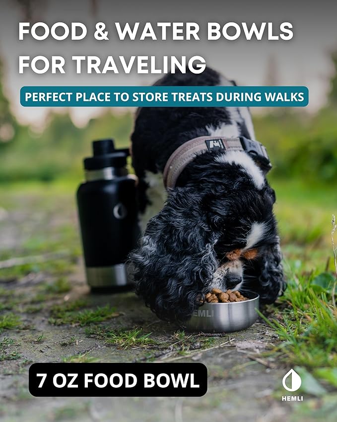 32 oz. Portable Dog Water Bottle and Bowl for Walking, Hiking and Travel