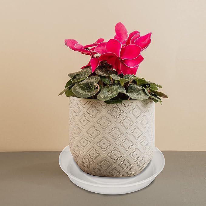 Bleuhome 6 Pack of 10 inch Plant Saucer Clear, Heavy Duty Plastic Plant Saucer 10 inch, Durable Plant Tray for Pots, Flower Plant Saucers for Indoors, Plant Trays for Planter 8"/9"/10" (10", Clear)