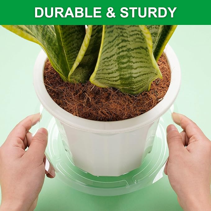 CATIFLIN 24 Pack Clear Plant Saucers - 8, 10, 12 Inch Plastic Plant Trays for Pots, Flower Pot Saucers, Indoor & Outdoor Planter Drip Tray for Water Drainage & Protection