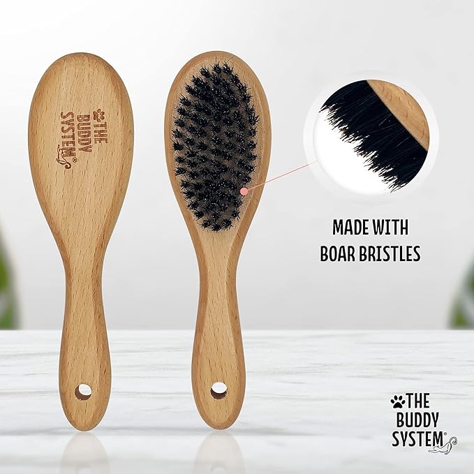 The Buddy System Cat Brush with Boar Bristle and Wooden Handle, Professional Grade Daily Grooming Hairbrush, Reduce Shedding, Soft Hair and Healthy Shine (1 Pack)