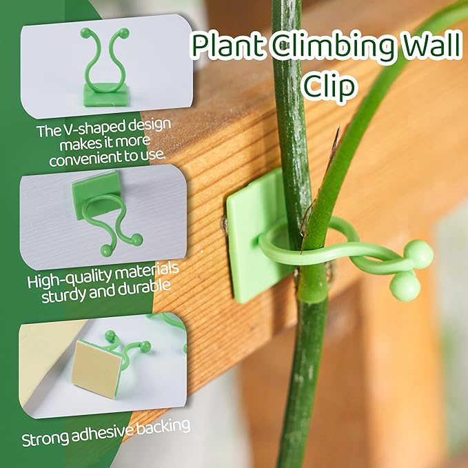 30/60/100PCS Plant Climbing Wall Fixture Clips,Invisible Wall Plant Vines Fixing Clips,Self-Adhesive Vine Support Holder for Climbing Plants. (100, Green V-Shaped)