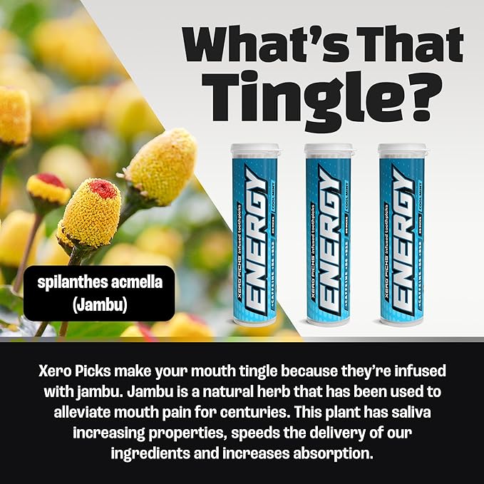 Xero Picks Energy Caffeine Flavored Toothpicks B12 for Focus & B6, 60 Picks (Pack of 3) (Cool Mint) Sugar-Free Alternative to Energy Mints & Gum - Kosher