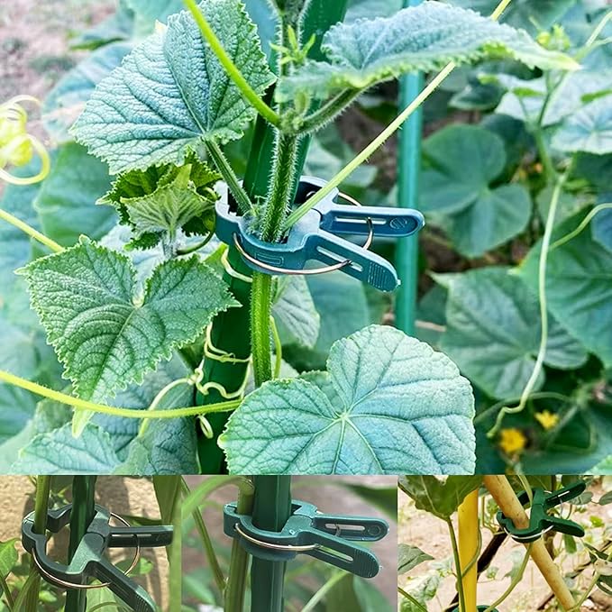 120PCS Plant Support Clips, Gentle Flower Plant Clamps for Supporting Vine Climbing Plants, Gardening Lever Loop Gripper Clips Help Stems Vines Grow Straight Upright