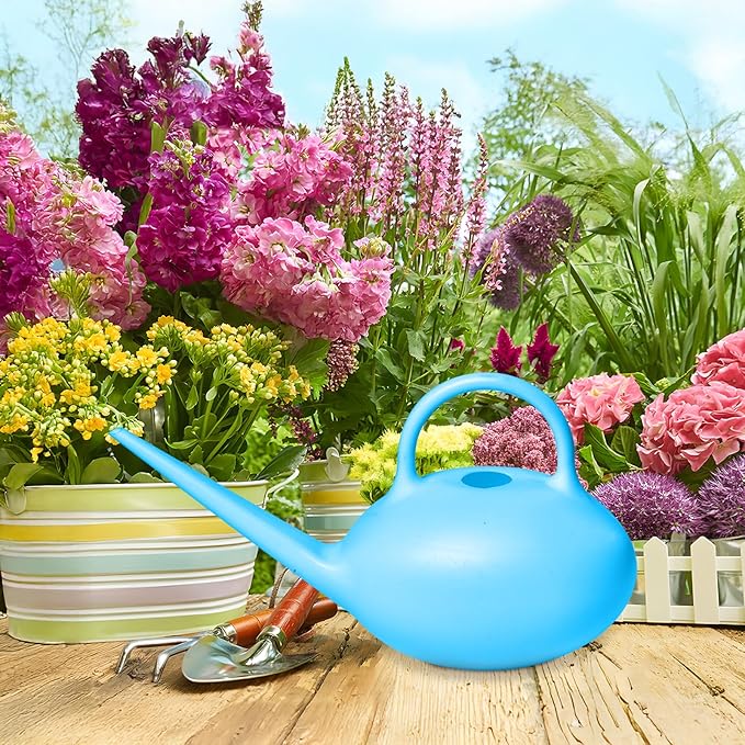 ZXJ Small Plastic Watering Can - 1/4 Gallon - for Home Plant Garden - Blue