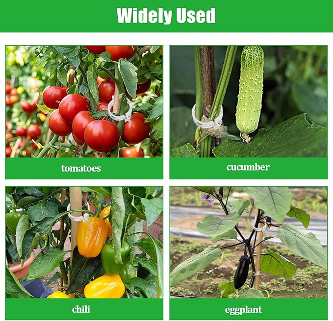 300 PCS White Plant Fixing Clips,Plant Support Clips, Tomato Clips, Plastic Trellis Clips,Garden Clip for Fixing Stem and Vine