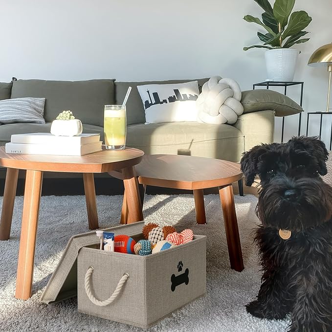 Dog Toy Basket with Lid, Dog Basket for Toys, Dogs Toy Box with Cotton Rope Handles, Collapsible Storage Bins for Pet Toys, Dogs Storage Organizer, Gray