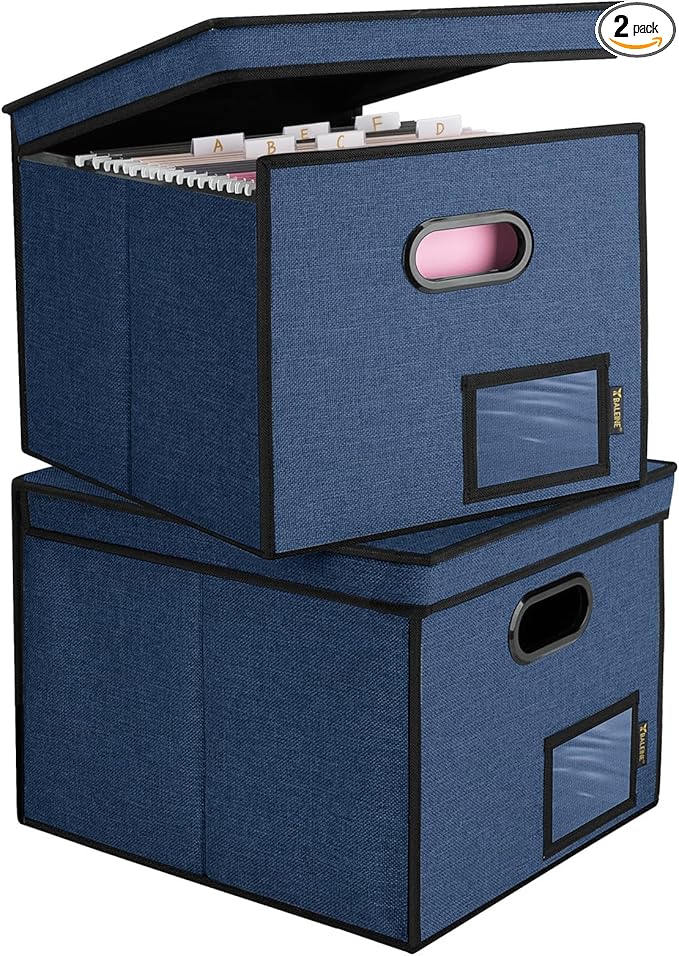 BALEINE File Organizer Box with Lid, Collapsible File Folder Organizer with Plastic Slide, Hanging File Folder Box for Office Document Storage (Tab Friendly, 2 Pack, Blue)