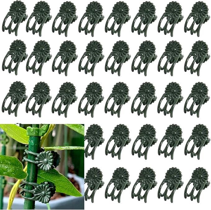 100Pcs Small - Middle Plant Clip,Daisy Garden Flower Plant Clip,for Orchids Vine Clip Support Stem Vine Upright Growth (Green)