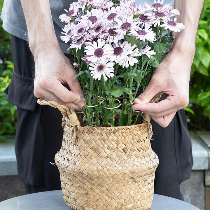 5PCS Monstera Plant Support System 4.1IN - Durable Hook Stem Supports for Healthy Growth, Stabilizer for Leaves and Turtle Shells, Easy-to-Use Indoor Plant Care, Ideal Present for Plant Lovers