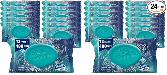 Charmin Flushable Wipes, 480 Total Wipes (24 Packs of 40)