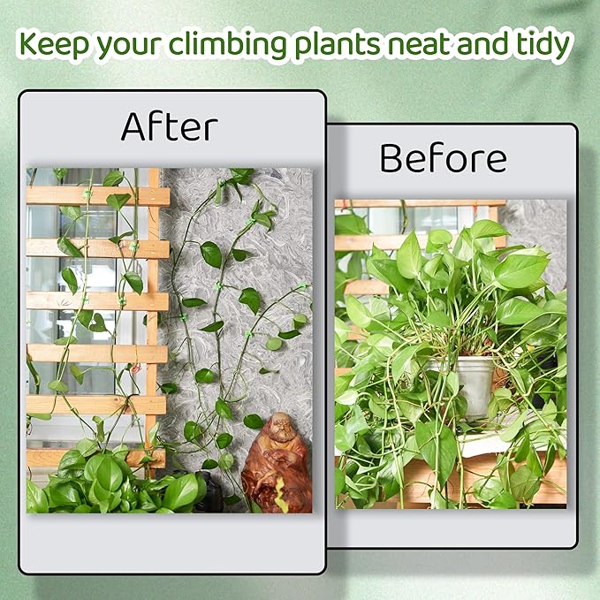 30/60/100PCS Plant Climbing Wall Fixture Clips,Invisible Wall Plant Vines Fixing Clips,Self-Adhesive Vine Support Holder for Climbing Plants. (100, Green V-Shaped)
