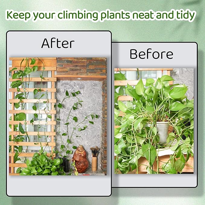 30/60/100PCS Plant Climbing Wall Fixture Clips,Invisible Wall Plant Vines Fixing Clips,Self-Adhesive Vine Support Holder for Climbing Plants. (60, Green-Leaf Shaped)