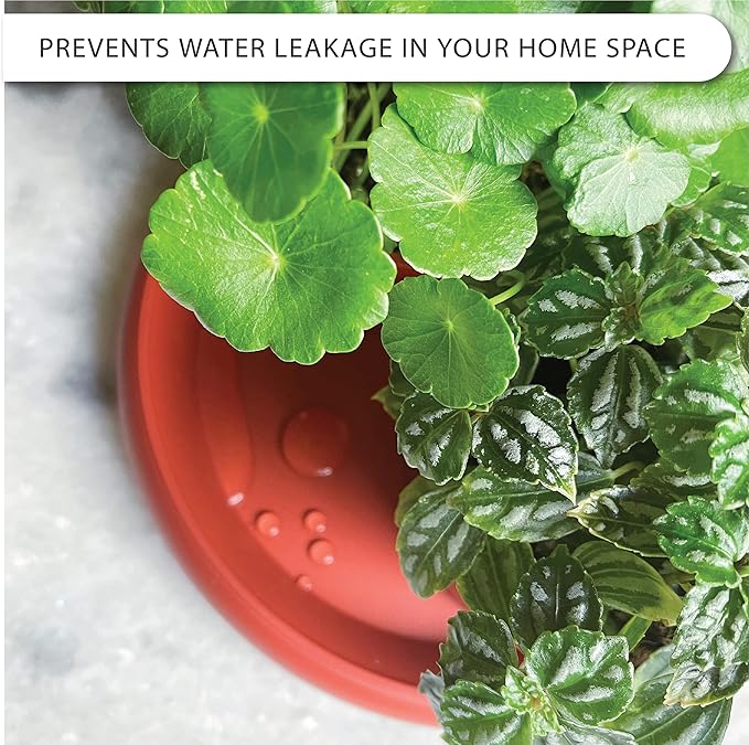 LOOPSEED Plant Saucer 6 Pack Drip Trays Planter Pot Base Heavy Duty Plastic Drainage Tray for Indoor Houseplants Outdoor Garden 5 inch 8 inch 11 inch 3 Sizes 2 Each Round (Terracotta)