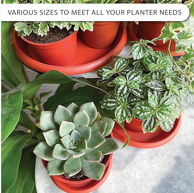 LOOPSEED Plant Saucer 6 Pack Drip Trays Planter Pot Base Heavy Duty Plastic Drainage Tray for Indoor Houseplants Outdoor Garden 5 inch 8 inch 11 inch 3 Sizes 2 Each Round (Terracotta)
