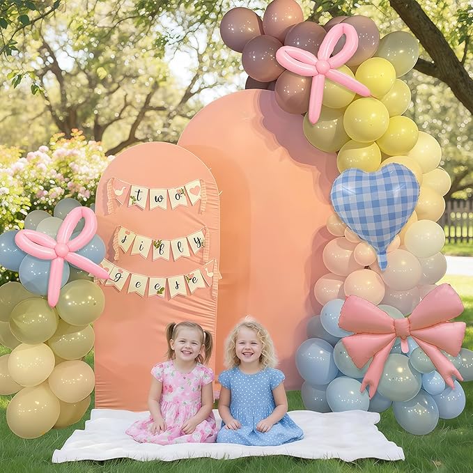 Goose Balloon Arch Kit Pastel Pink Blue Sage Green Balloons Garland Bow Gingham Heart Foil Balloon One Silly Goose Birthday Party Decorations Girl Dusty Pink Blue Yellow Duck Baby Shower Gender Reveal