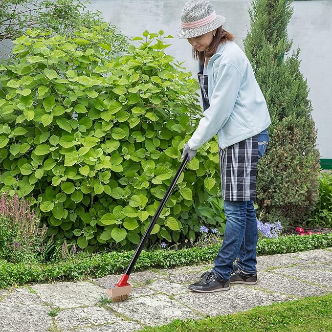 Mitclear Moss Remove Brush with Long Handle(53IN), Deck Crevice Cleaning Tool, Weed Remover with Wire Brush & Metal Blade, Crack Moss Remover for Pavement Driveway Patio Sidewalk Paver(3 Brush Heads)