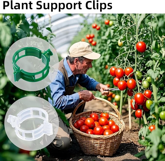 100 Pcs Plant Support Clips,Plastic Clips for Securing Plants,Tomato Vine Clips,Plant Fixing Clips,Garden Clips for Climbing Plants,Grape and Vine Vegetables (100, White)