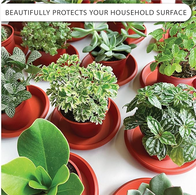 LOOPSEED Plant Saucer 6 Pack Drip Trays Planter Pot Base Heavy Duty Plastic Drainage Tray for Indoor Houseplants Outdoor Garden 5 inch 8 inch 11 inch 3 Sizes 2 Each Round (Terracotta)