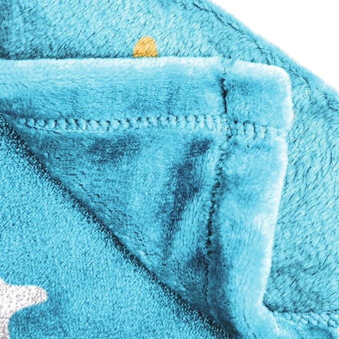 Jay Franco Kids Plush Throw Blanket – Soft & Cozy Fleece Throw for Bedroom & Couch Décor, Official Licensed Product, Blue - Disney Princess Cinderella, 60x90 - Large Blanket