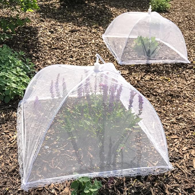 Simply Genius Pop-Up Mesh Food Cover Tent - 17 x 17 in, White, 3-Pack, Compact - Camping Essentials & Picnic Food Covers - Outdoor Party Essentials