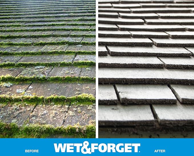Wet & Forget Moss, Mold, Mildew, & Algae Stain Remover Multi-Surface Outdoor Cleaner Concentrate, Original, 128 Fluid Ounces